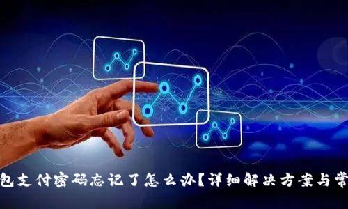 imToken钱包支付密码忘记了怎么办？详细解决方案与常见问题解析