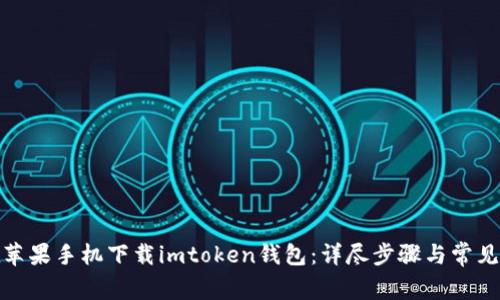 : 如何在苹果手机下载imtoken钱包：详尽步骤与常见问题解答