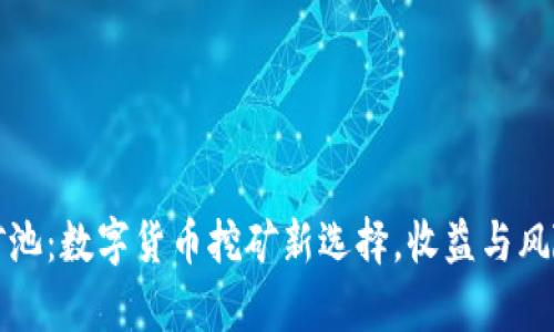 蜘蛛矿池：数字货币挖矿新选择，收益与风险解析