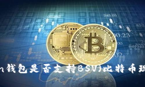imToken钱包是否支持BSV（比特币现金SV）？