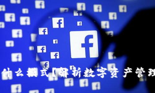 ### IM钱包是什么模式？解析数字资产管理与使用的新趋势