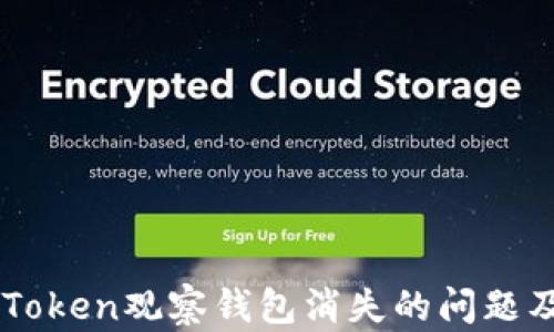 
如何解决ImToken观察钱包消失的问题及确保安全性