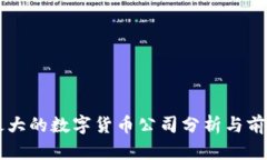 上市最大的数字货币公司