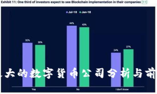 上市最大的数字货币公司分析与前景展望