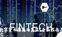 :怎样判断数字货币骗局的