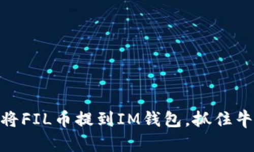 : 如何将FIL币提到IM钱包，抓住牛市机会