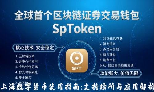 
上海数字货币使用指南：支持场所与应用解析
