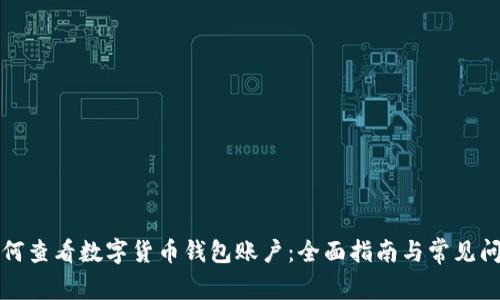 如何查看数字货币钱包账户：全面指南与常见问题
