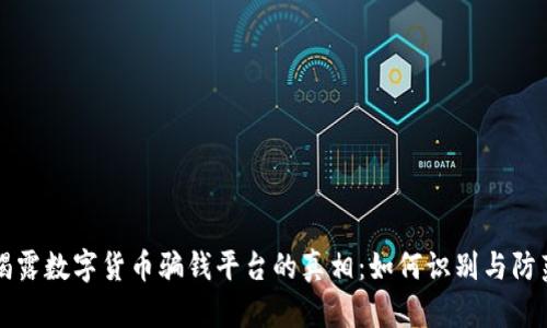 揭露数字货币骗钱平台的真相：如何识别与防范