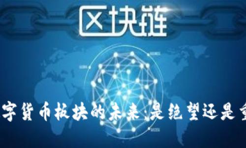 : 数字货币板块的未来：是绝望还是重生？