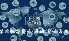  国家禁用数字货币：原因