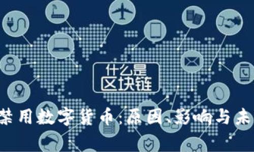  国家禁用数字货币：原因、影响与未来展望