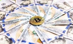 : 探索 ImToken 钱包的中心化