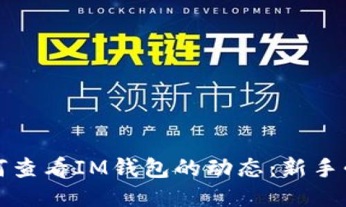 如何查看IM钱包的动态：新手必读