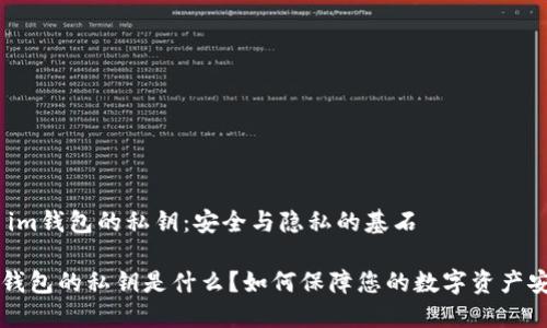 # im钱包的私钥：安全与隐私的基石

im钱包的私钥是什么？如何保障您的数字资产安全