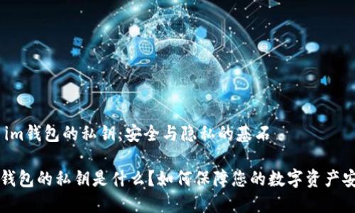 # im钱包的私钥：安全与隐私的基石

im钱包的私钥是什么？如何保障您的数字资产安全