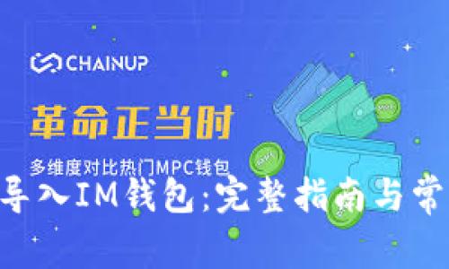 如何将BSV导入IM钱包：完整指南与常见问题解答