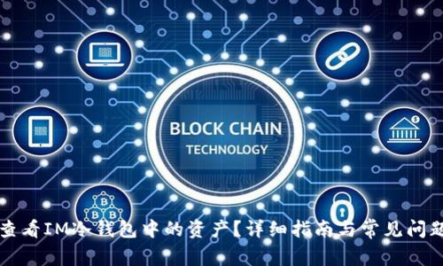 如何查看IM冷钱包中的资产？详细指南与常见问题解析