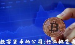 美国制造数字货币的公司