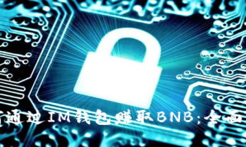 如何通过IM钱包赚取BNB：全面指南