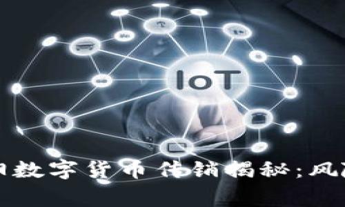 湖南衡阳数字货币传销揭秘：风险与警示