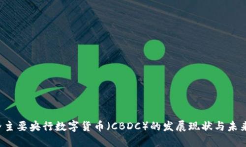  世界主要央行数字货币（CBDC）的发展现状与未来展望