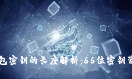 以太坊钱包密钥的长度解析：66位密钥背后的真相