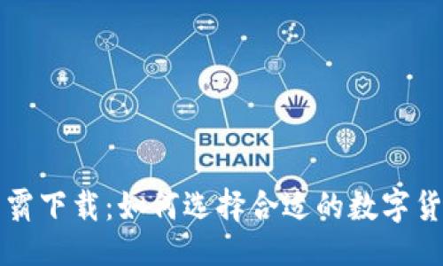 与关键词

数字货币争霸下载：如何选择合适的数字货币交易平台